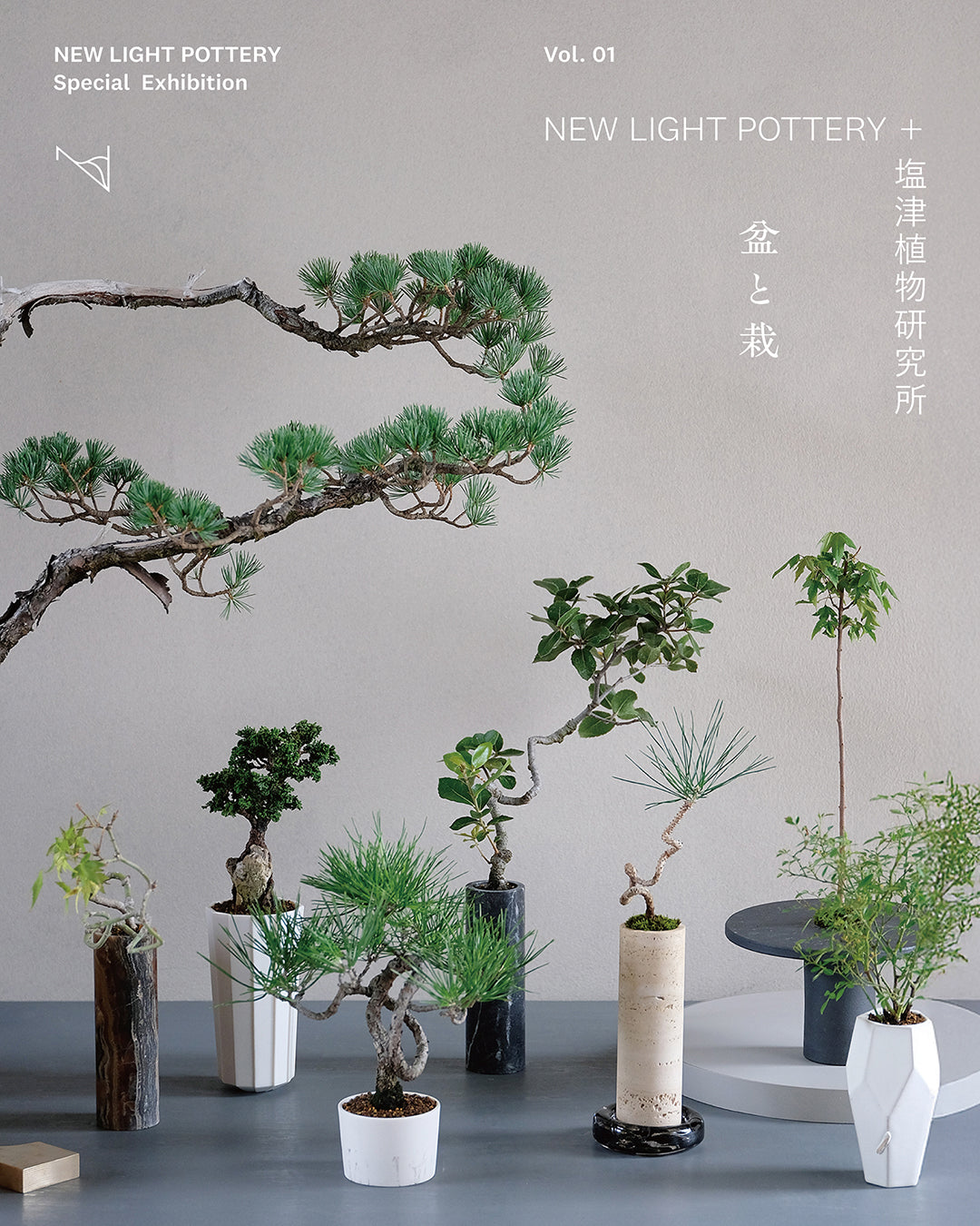 NEW LIGHT POTTERY Special Exhibition vol.1 <br>「盆と栽」　 NEW LIGHT POTTERY + 塩津植物研究所